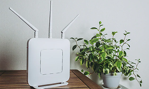 En vit router med tre antenner som pekar åt olika håll på ett träbord med en grön växt vi sidan av. 