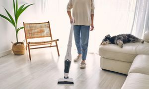 En person som dammsuger golvet med en sladdlös dammsugare och en hund i soffan