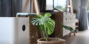 En blomma intill en luftkonditionering