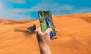 En mobil som tar en bild på en duva men på skärmen syns en påfågel. Bildförbättring med AI image enhancement.