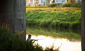 Man som står och fiskar i en flod under en betongbro. Hus syns i bakgrunden i oskärpa.