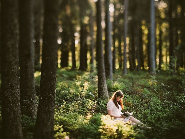 En kvinna klädd i vitt sitter på en ljus plats i skogen och läser. 