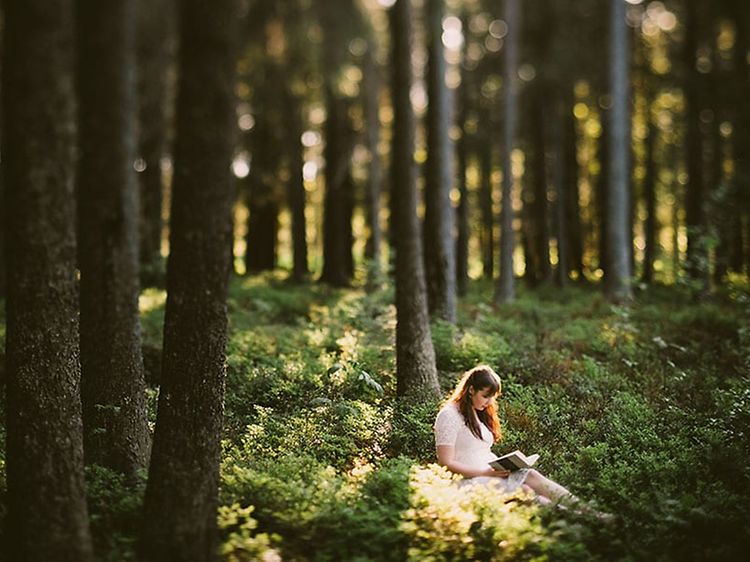 En kvinna klädd i vitt sitter på en ljus plats i skogen och läser.