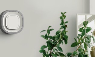 Aura Air system på en grå vägg intill en växt