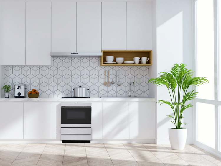 -Kitchen with integrated dishwasher