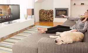 Kvinna och hund i en grå soffa framför en TV