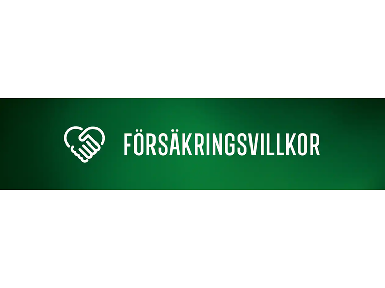Insurance terms Sweden