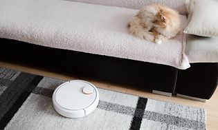 Katt i en soffa och en robotdammsugare på golvet