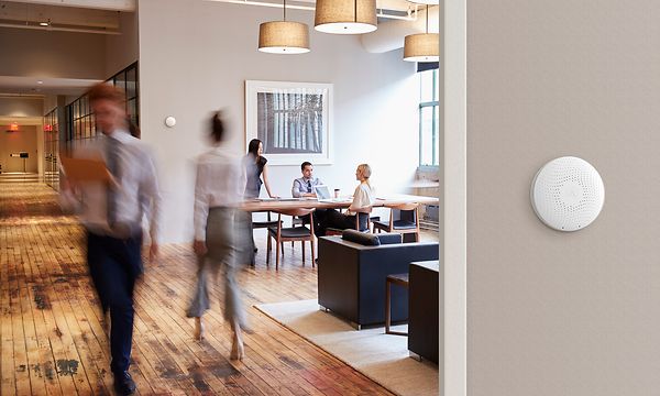Airthings Wave Plus på väggen på ett kontor