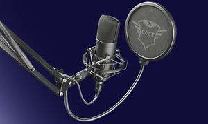 Mikrofon och popfilter