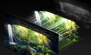 Samsung-TV-QN800A- Skärmar och natur