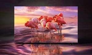 Samsung-TV-QE60A-flamingor på skärm