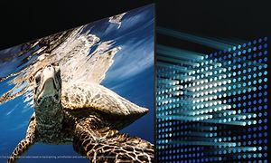 Samsung-TV-Q80A-TV med simmande sköldpadda 