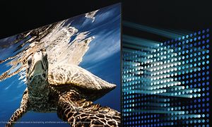 Samsung-TV-Q80A-TV med simmande sköldpadda