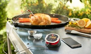 Weber stektermometer och en kyckling