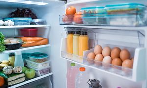 MDA-Fridges-Fridge with content