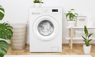 Tvättmaskin i en tvättstuga med gröna växter