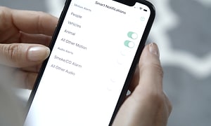Arlo - Smarta notifikationer på mobil