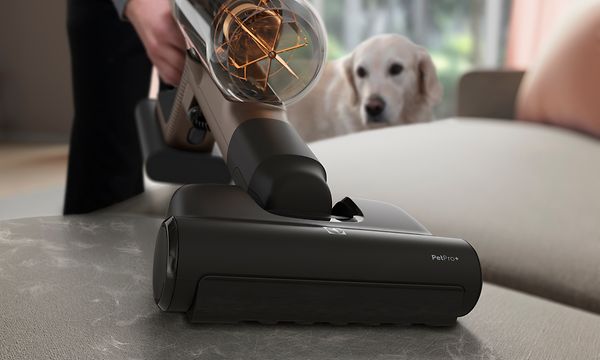 Electrolux skaftdammsugare och en hund
