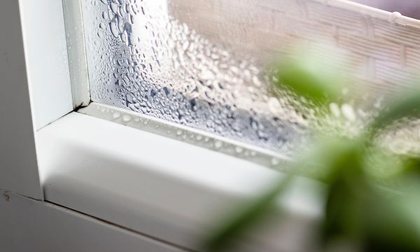 Vattenkondens på fönstret