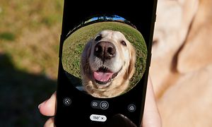 OnePlus - En kamera som tar bild av en hund med fisheye-effekt