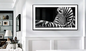 Samsugn TV upphängd på väggen som en tavla, visar svartvitt motiv av en zebra som ser mer ut som konst.