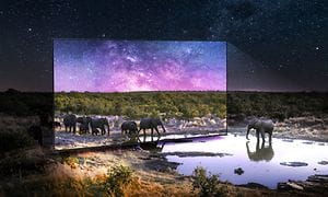 Stor Samsung TV utomhus med elefanter både på skärmen och framför.