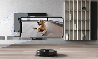 Ecovacs Deebot T9 AIVI visar video av en hund i realtid
