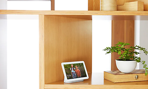 Google Nest Hub-skärm som används som en fotoram på display i en bokhylla bredvid en krukväxt.