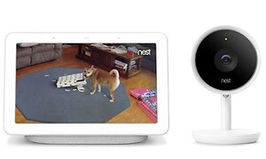 Vit webbkamera och en skärm som visar en hund som river sönder ett paket.