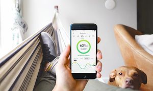 Airthings app på smartphone som någon i en hängmatta håller i medan en hund står bredvid
