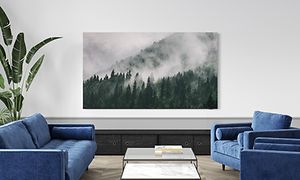 QLED-TV på väggen som visar en skog