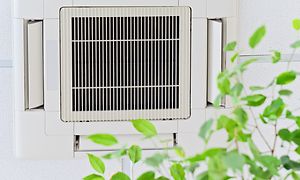 Luftventilation placerad i taket och grön planta