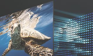 Samsung-TV-Sköldpadda på skärm