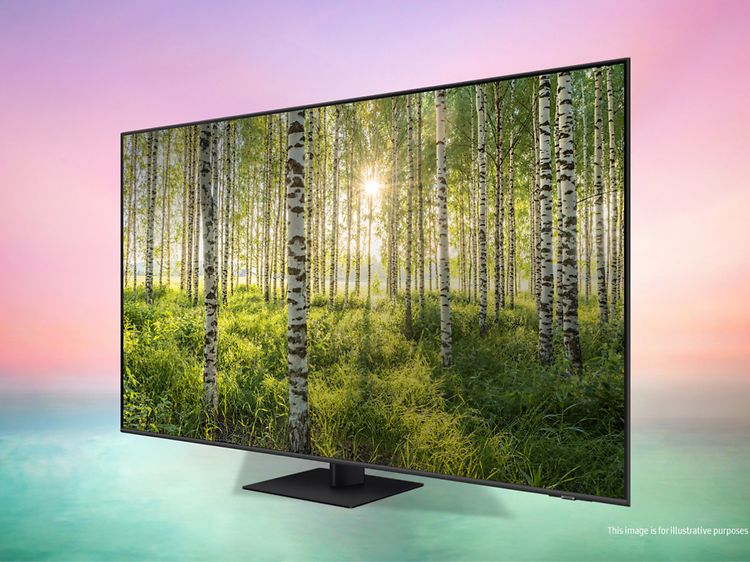 Samsung-TV-Q77B-skärm med björkskog och solen som tittar fram mellan stammarna