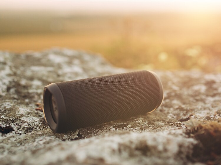 Portabel Bluetooth högtalare på en sten med natur i bakgrunden.
