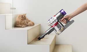 Dyson V8 Absolute handhållna enhet som dammsuger en trappa intill en katt