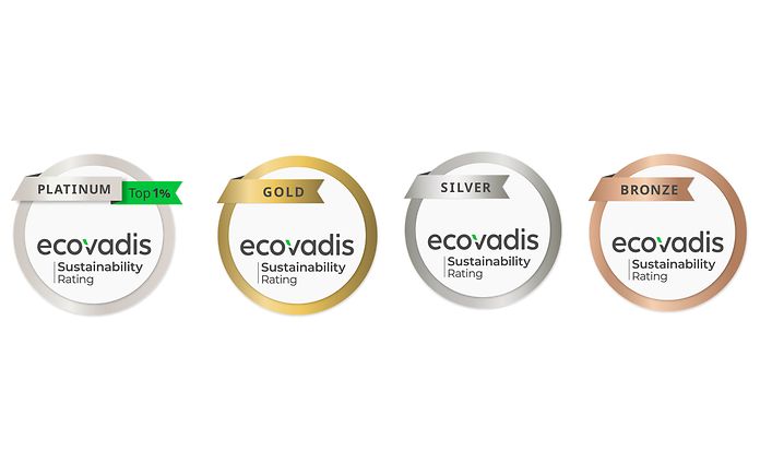Ecovadis ranking copy