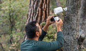 En man installerar en Arlo Go V2 övervakningskamera som är fäst på ett träd
