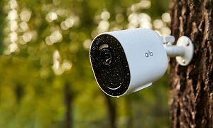 Arlo Go V2 övervakningskamera som är fäst på ett träd