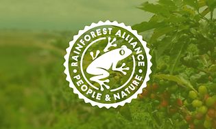 Rainforest Alliance logotyp