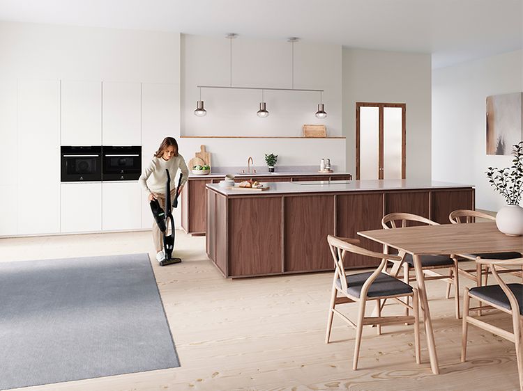 electrolux cleaning top desktop