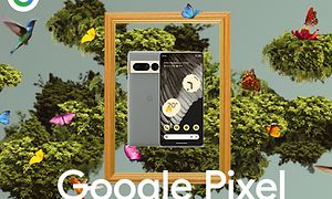 Google Pixel 7 Pro i en ram omgiven av fåglar och fjärilar