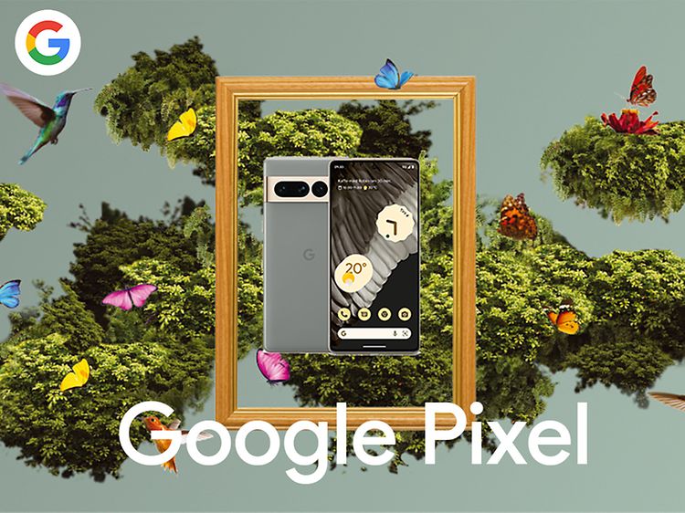 Google Pixel 7 Pro i en ram omgiven av fåglar och fjärilar