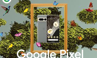 Google Pixel 7 Pro i en ram omgiven av fåglar och fjärilar
