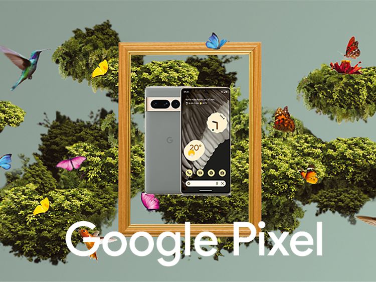 Google Pixel 7 Pro i en ram omgiven av fåglar och fjärilar