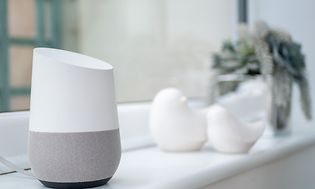 Google Home med porslinsfåglar och en blomkruka i bakgrunden i ett fönster