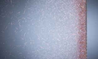 Electrolux mikroplastfilter fångar upp mikroplastfibrer