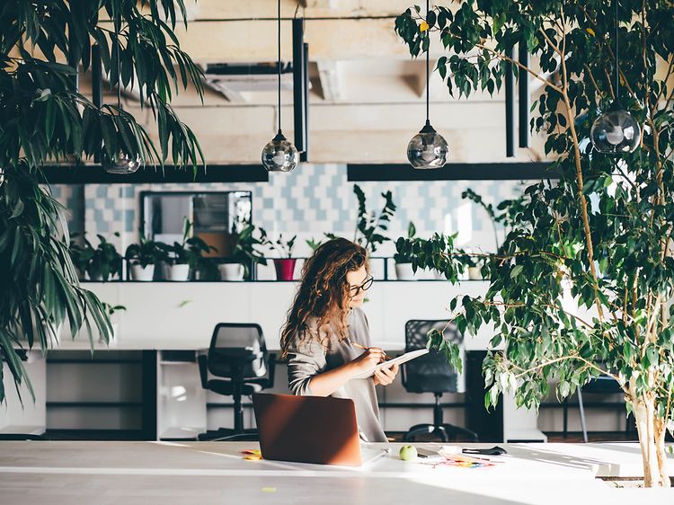 B2B - Indoor climate - Woman working at an office surrounded by plants
