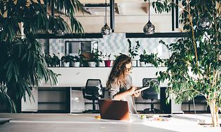 B2B - Indoor climate - Woman working at an office surrounded by plants